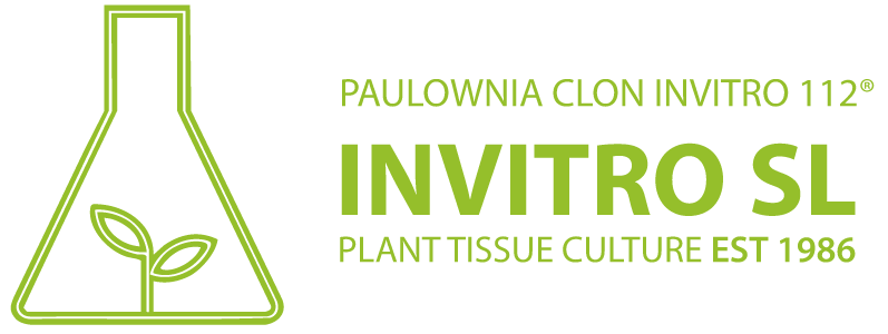 INVITRO SL - Paulownia Clon InVitro 112 - Plant Tissue Culture Est 1986